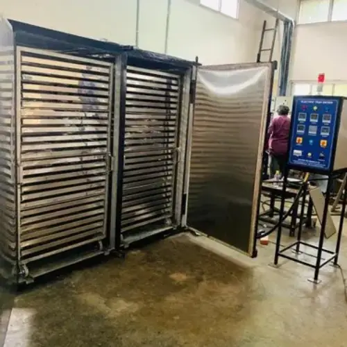 Electric tray dryer